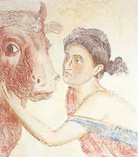 Венецианская штукатурка